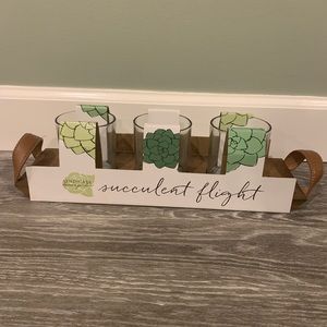 Syndicate Home & Garden 4.3 x 18 in. Succulant Flight- Brown